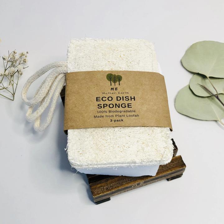 Eco Sponge (3 pack)