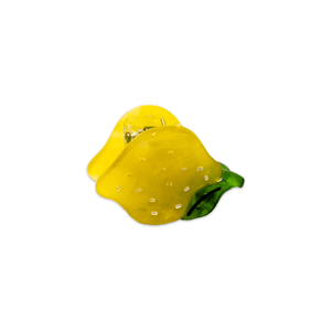 
                  
                    Load image into Gallery viewer, Micro Fruit and Flowers Hair Claw Clip Set
                  
                