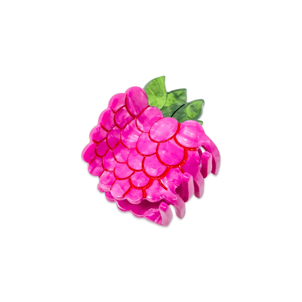 
                  
                    Load image into Gallery viewer, Mini Raspberry Hair Claw Clip
                  
                