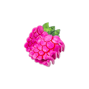 
                  
                    Load image into Gallery viewer, Mini Raspberry Hair Claw Clip
                  
                