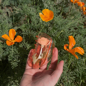 
                  
                    Load image into Gallery viewer, California Poppy Claw
                  
                
