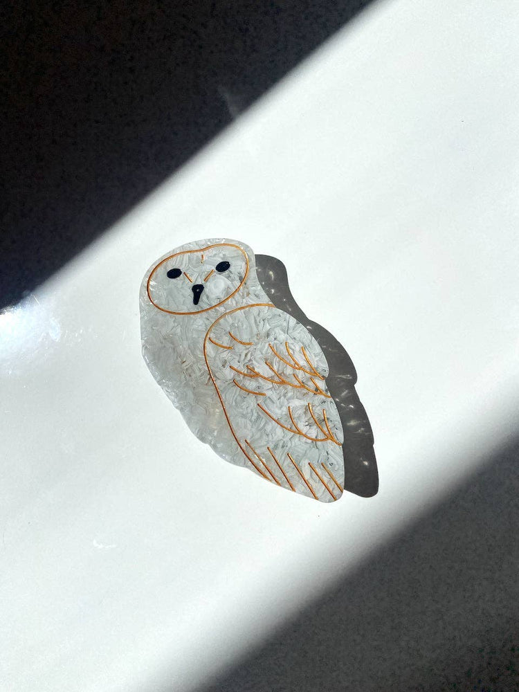 
                  
                    Load image into Gallery viewer, Solar Eclipse - Hand-painted Owl Bird Claw Hair Clip | Eco-Friendly: Brown
                  
                