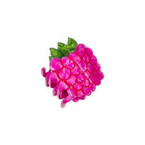 
                  
                    Load image into Gallery viewer, Mini Raspberry Hair Claw Clip
                  
                