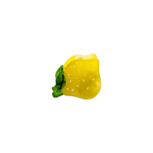 
                  
                    Load image into Gallery viewer, Micro Fruit and Flowers Hair Claw Clip Set
                  
                
