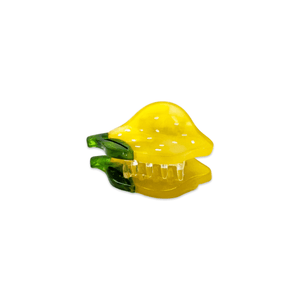 
                  
                    Load image into Gallery viewer, Micro Fruit and Flowers Hair Claw Clip Set
                  
                