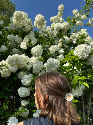 
                  
                    Load image into Gallery viewer, Hand-painted Mini Daisy Claw Hair Clip | Eco-Friendly
                  
                