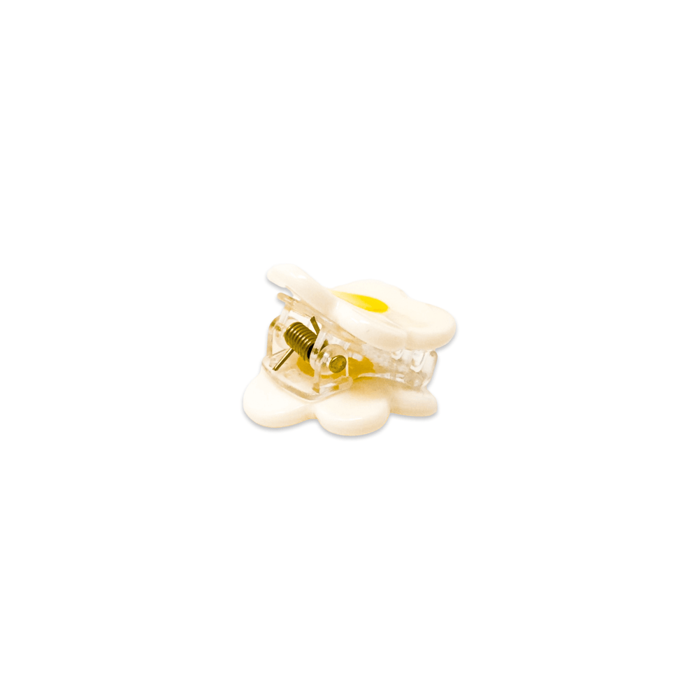 
                  
                    Load image into Gallery viewer, Micro Fruit and Flowers Hair Claw Clip Set
                  
                