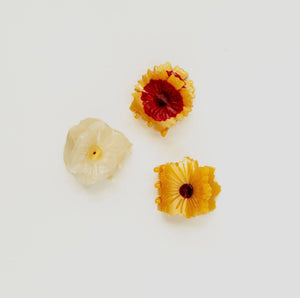 
                  
                    Load image into Gallery viewer, Wildflower Mini Claws (3 pack)
                  
                