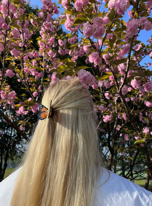 
                  
                    Load image into Gallery viewer, Hand-painted Mini Monarch Claw Hair Clip | Eco-Friendly: Orange
                  
                